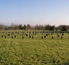 Woodhenge