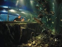 Lakes Aqaurium