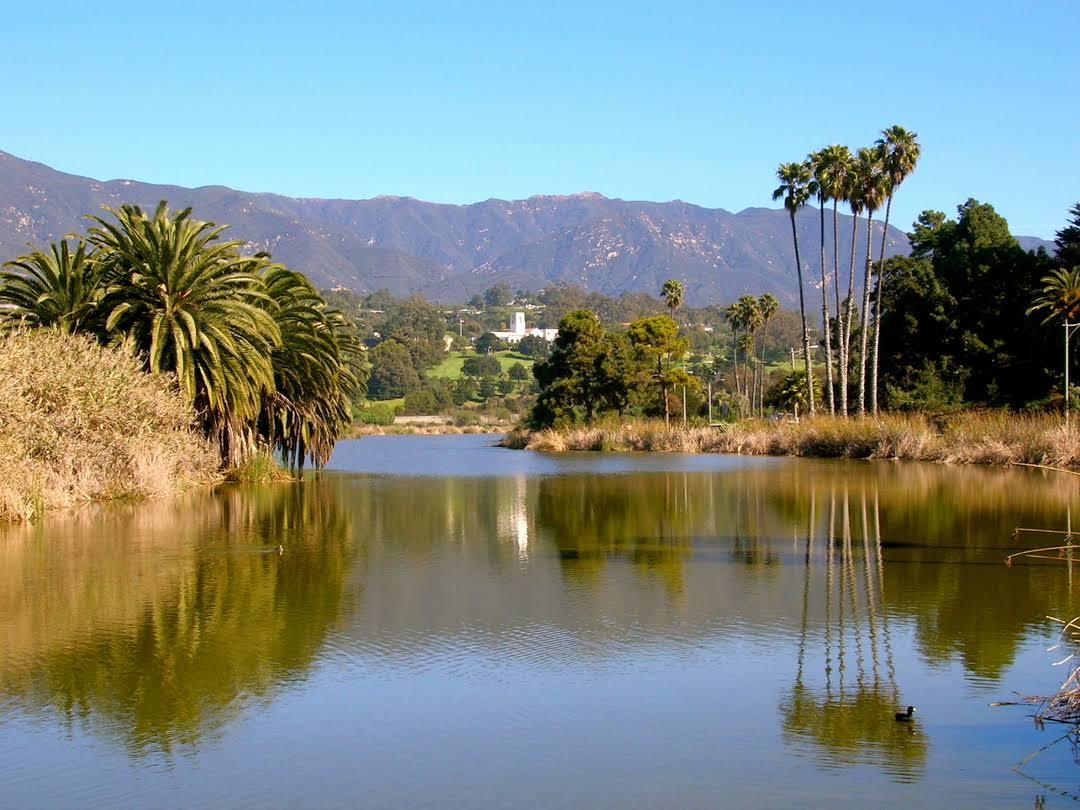 Andree Clark Bird Refuge