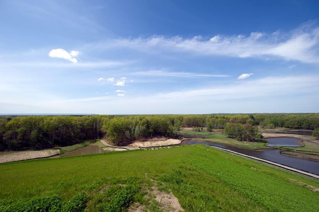 Albany Pine Bush Preserve