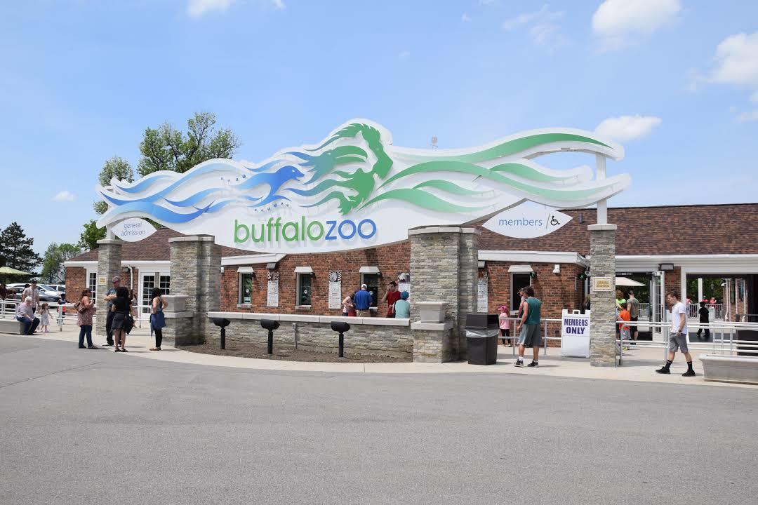 The Buffalo Zoo