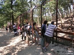 Budakeszi Doğal Yaşam Parkı