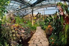 Botanisk hage