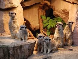 Zoologischer Garten Magdeburg