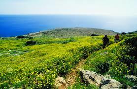 Cape Greco National Forest Park