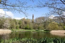 Baggeridge Country Park