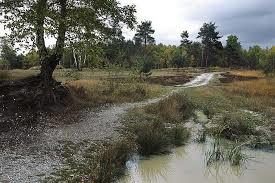 Wahner Heide