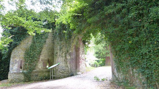 Burgruine Hohennagold