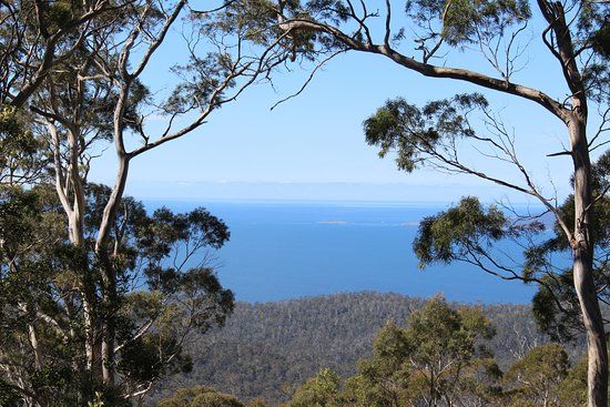 Three Thumbs Lookout