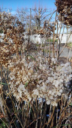 Botanischer Garten Kassel