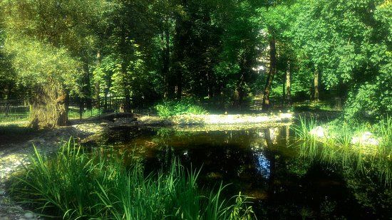 Ogrod Saski park in Lublin