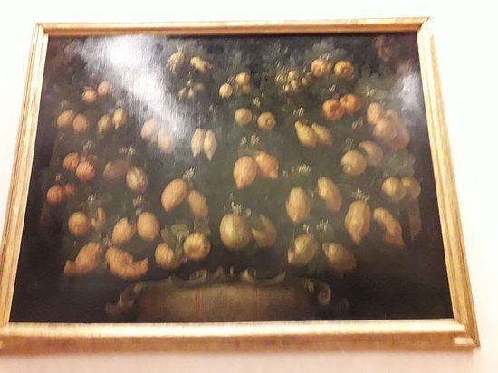 Museum of Still Life