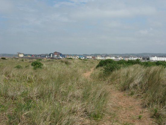 Dawlish Warren Nature Reserve