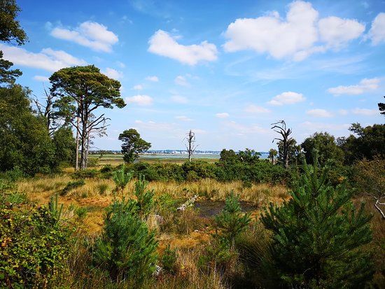 RSPB Arne