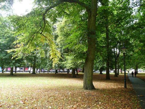 Hoglands Park