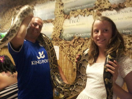 The Reptile Experience