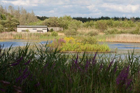 Parc Slip Nature Reserve