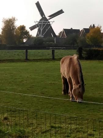 Molen de Bente