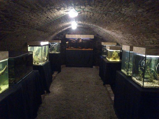 Aquarium et terrarium de Szentendre