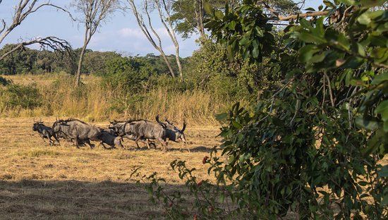 Haka Game Park
