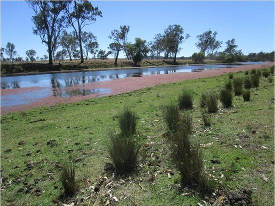 Mt Wooroolin Lookout