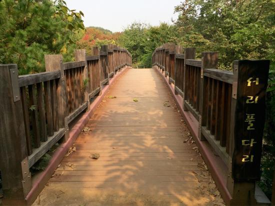 Parque Montmarte