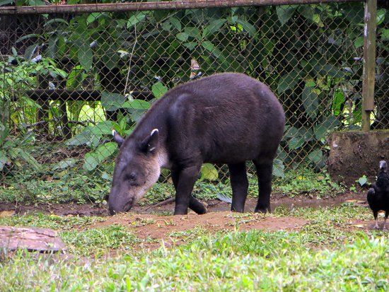 La Marina Wildlife Rescue Center