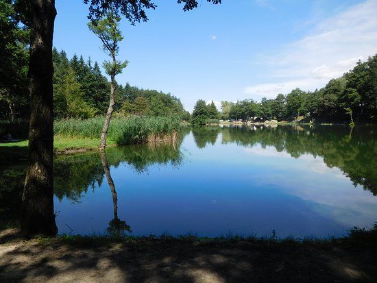 Lago Pontini