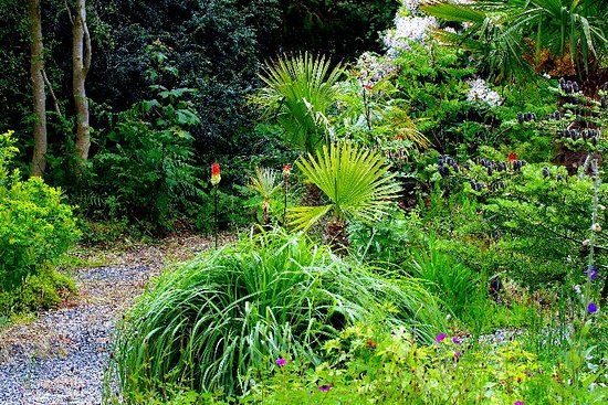 Cluain na dTor Seaside Gardens & Nursery