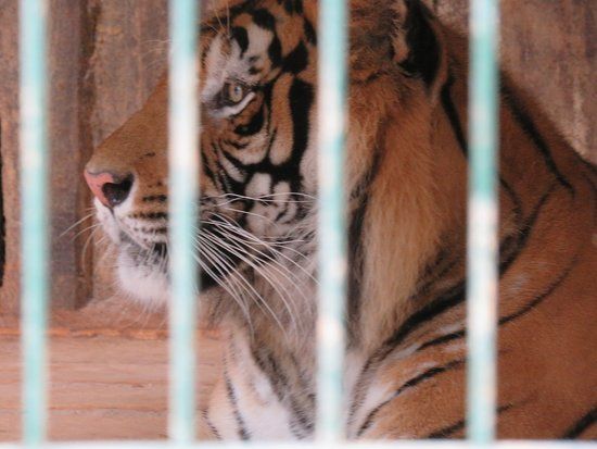 ZOO Aschersleben
