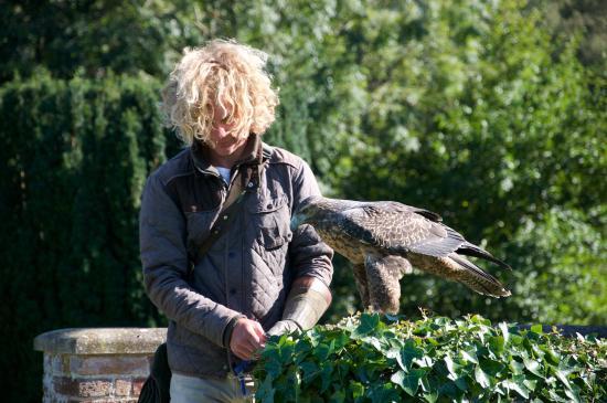 East Sussex Falconry