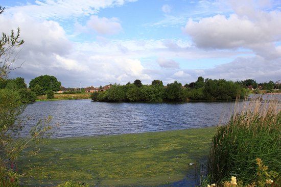 Tameside Nature Reserve