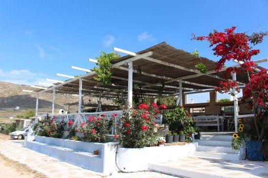 Mykonos Vioma Organic Farm
