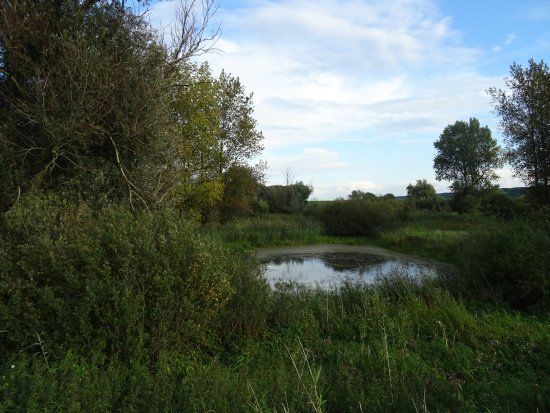 Wandelbrug Ooijpoort