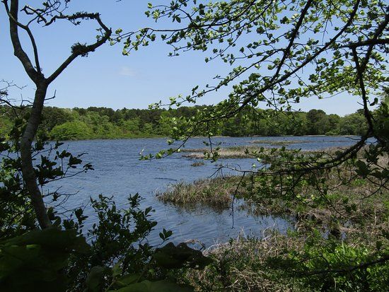 Bell's Neck Conservation Lands