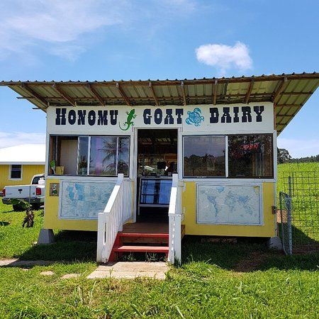 Honomu Goat Dairy