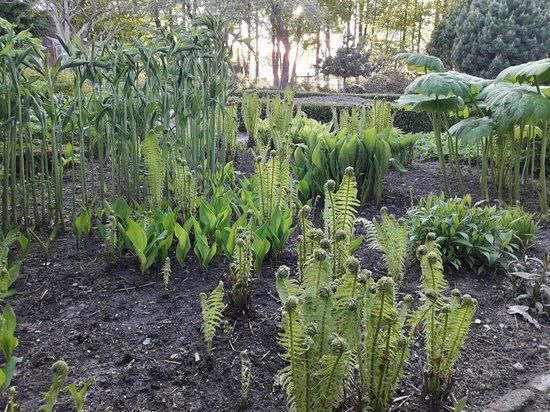 Botanical Garden of Siauliai University