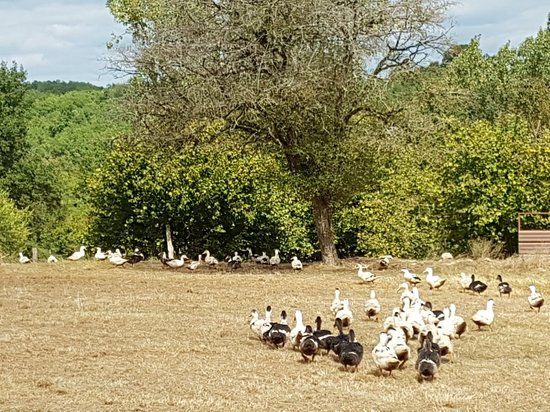 Le Domaine de Barbe