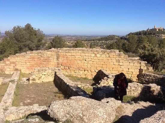Poblado iberico de San Antonio
