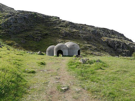 Tvisognor