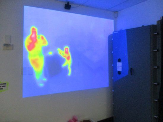 My Science Playroom