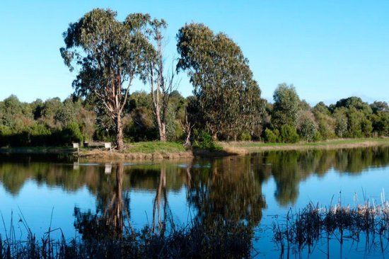 Wonthaggi Wetlands Reserve