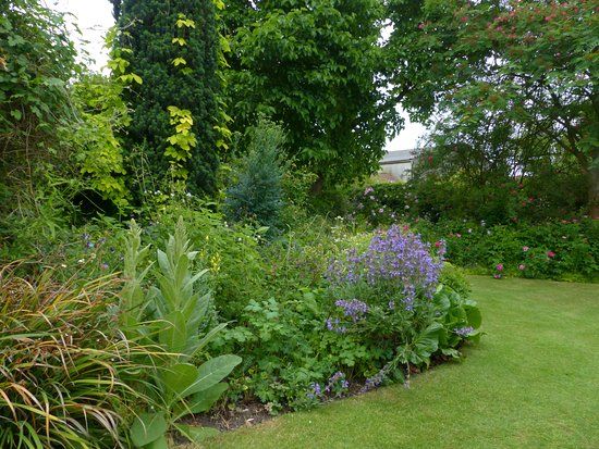 Stillingfleet Lodge Gardens