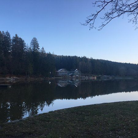 Ebnisee
