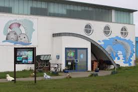 Robbenzentrum Fohr