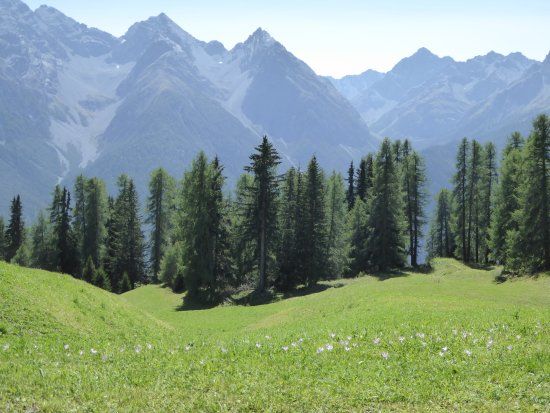 Alp Laret