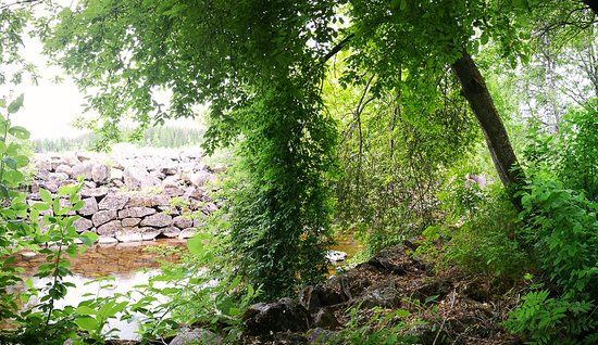 Arboretum Norr