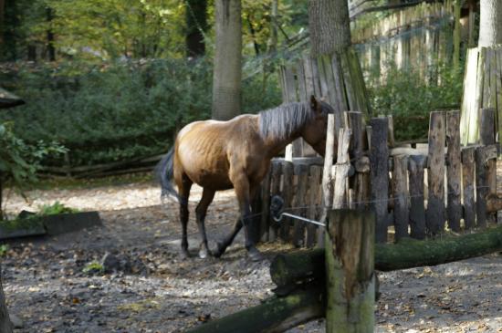 Zoo Děčín