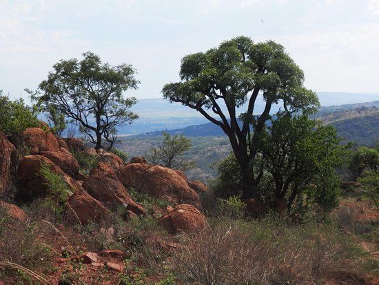 Klipriviersberg Nature Reserve