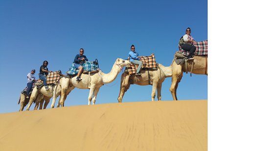 Swakopmund Camel Farm